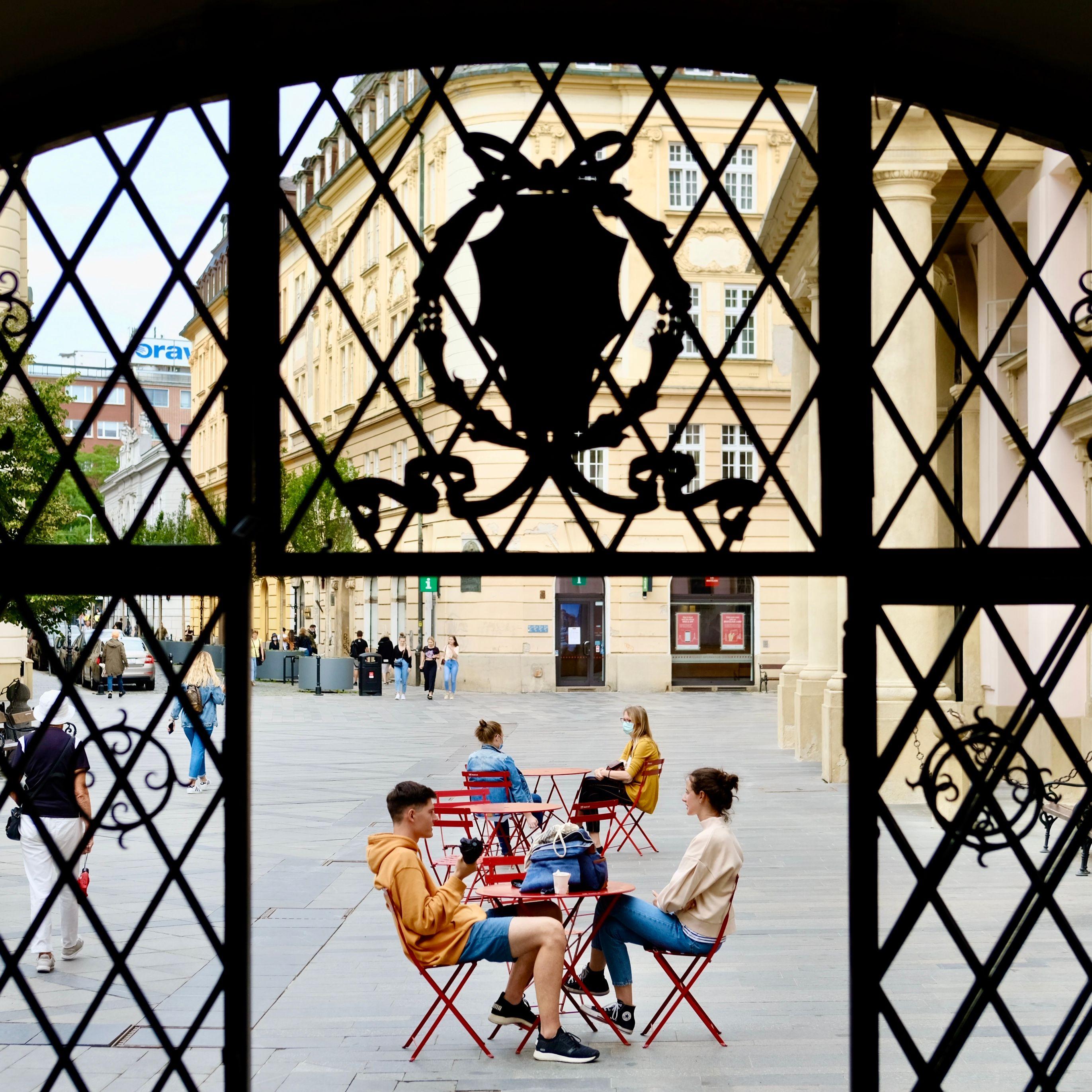 Fotka projektu sadni si